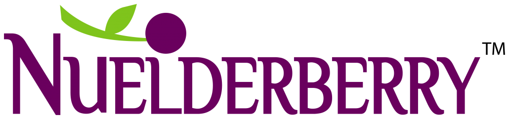 Elderberry Concentrate and Extract Powder Supplier