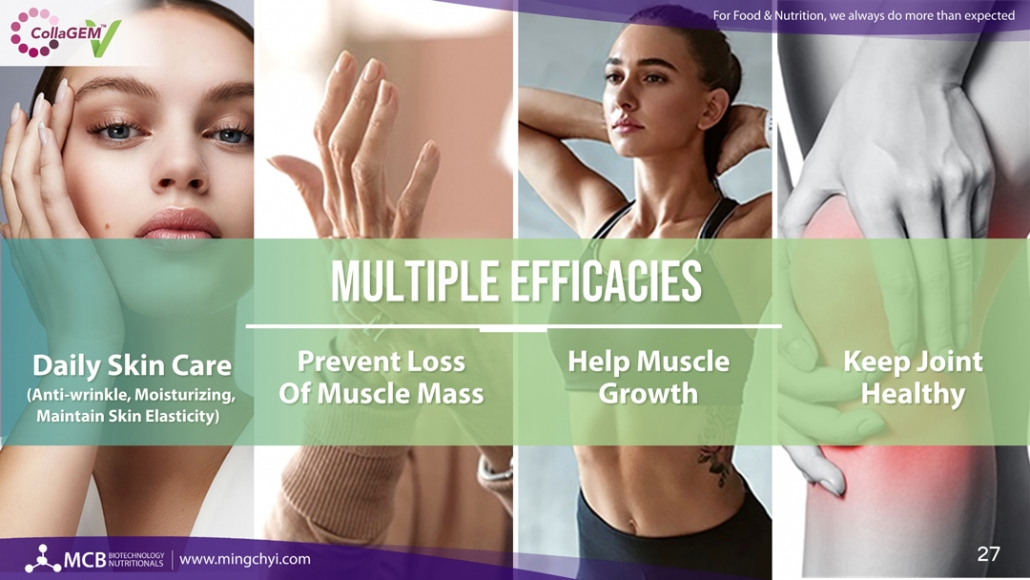 The manufacturer of vegan collagen powder in bulk and wholesale
