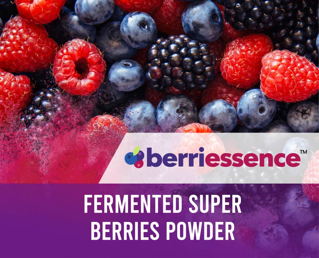 Expert of Bulk Fermented Super Berries Powder Manufacturering