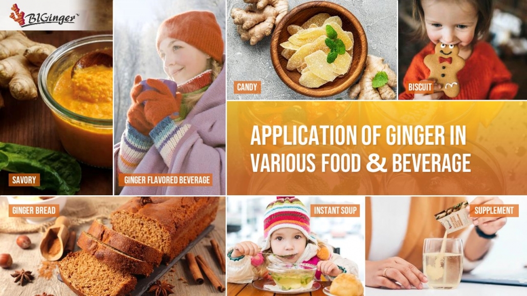 Manufacturer of ginger concentrate powder in bulk and wholesale