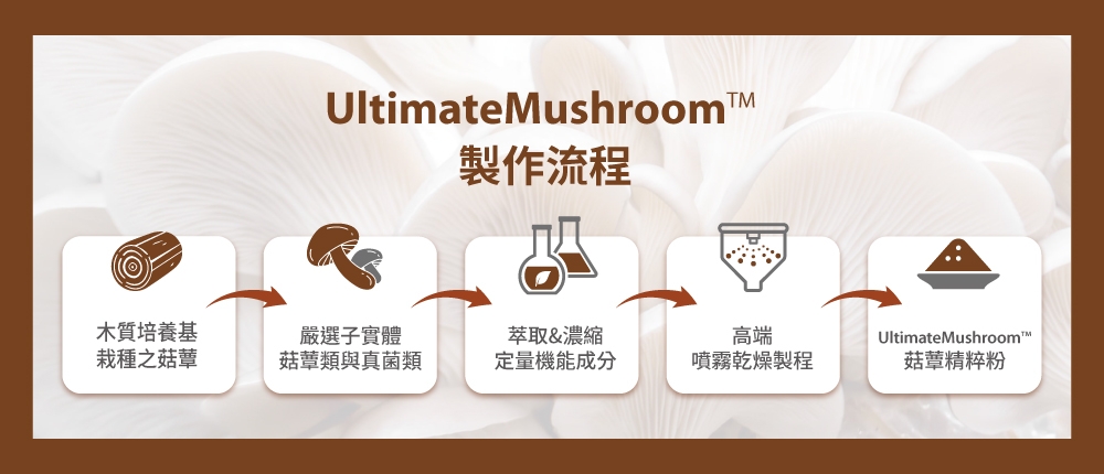 富含葡聚醣的菇蕈原料製造流程