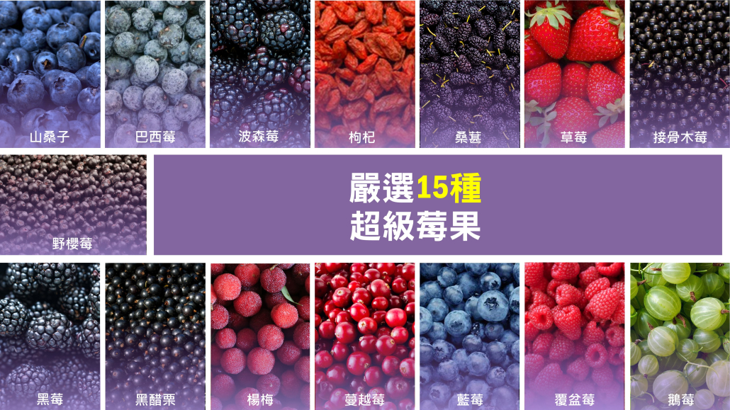 保健莓果粉原料生產(chǎn)與供應